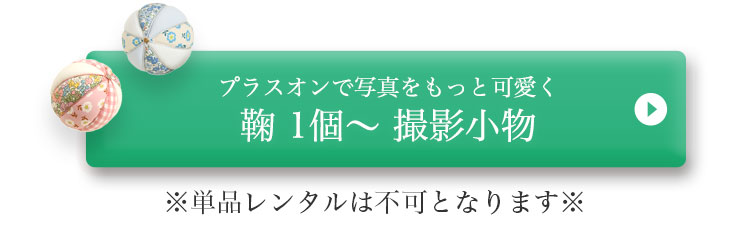 鞠撮影小物レンタルボタン