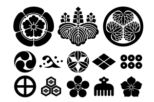 三つ葉葵、三つ巴、五三の桐などの様々な家紋