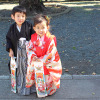 七五三の着物を着た男の子と女の子
