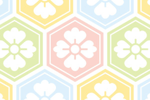 花菱亀甲