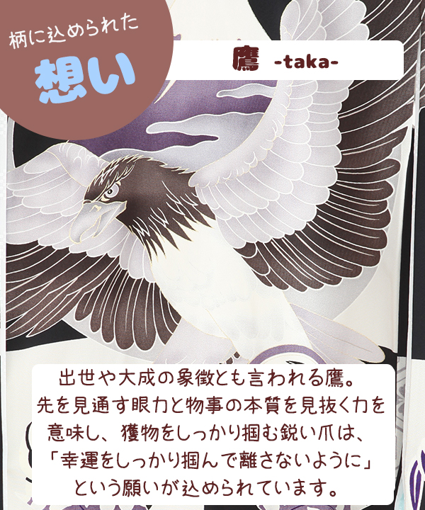 EAST【紋入れ】掛け着襦袢付き　菊菱松鷹　男の子着物　正絹 　9RA15 EAST【紋入れ】掛け着襦袢付き 菊菱松鷹 男の子着物 正絹 9RA15